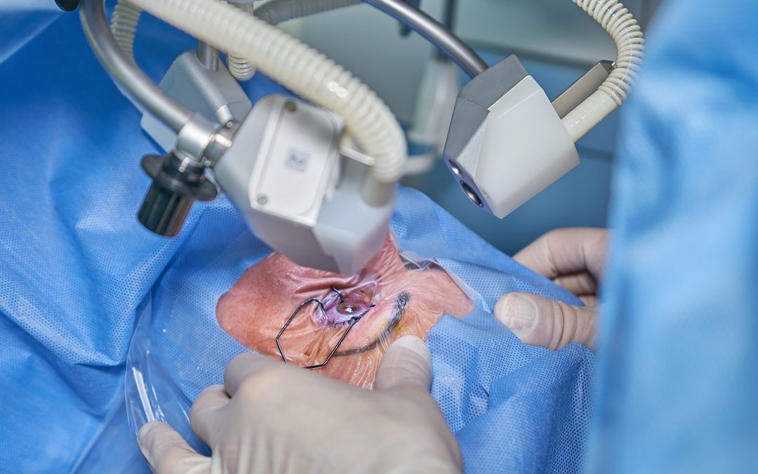 Anticipating Future Trends: Analysis and Predictions