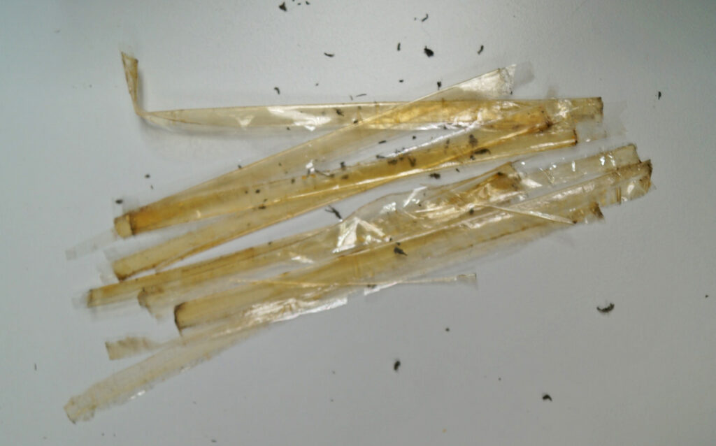 Blog from the basement: Caught in a sticky situation