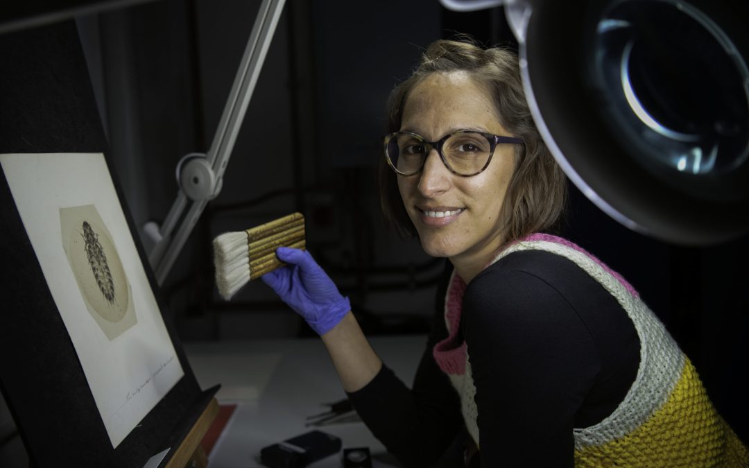 Blog from the Basement: Meet the collections services team