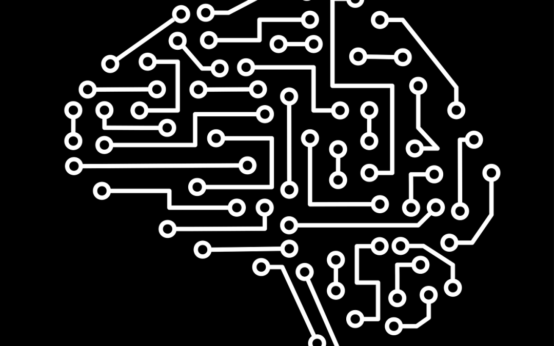 Improving Deep Neural Network Robustness with Vital Phase Augmentation