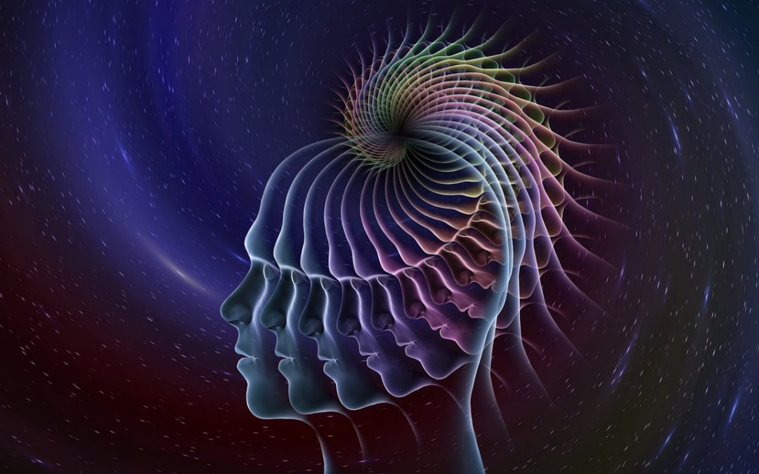 Title: Exploring Thermodynamics and Dynamics of a Newly Hypothesized Black Hole: A Comparative Study