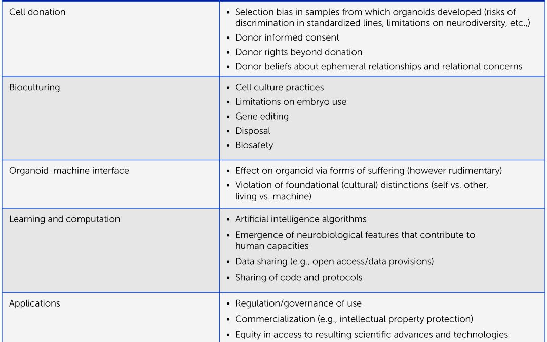“Automating Mobile Device Operations: Enhancing Privacy and Performance with LLM-Based Agents”