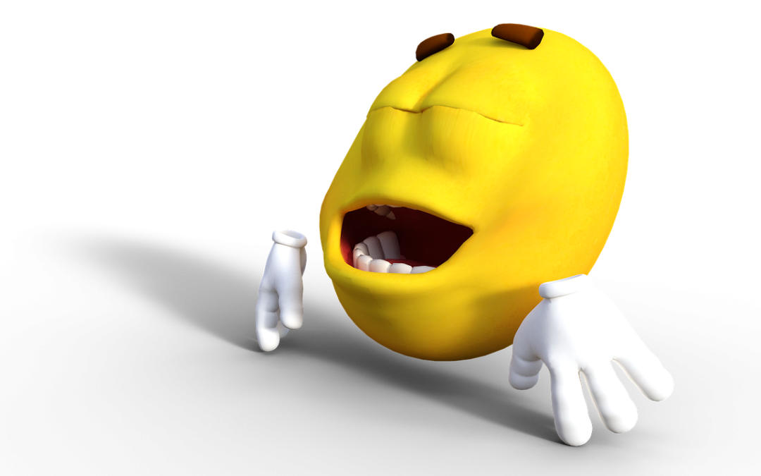 "Exploring the Potential of Emotion AI in Intimate Roles: Privacy and Ethical Considerations