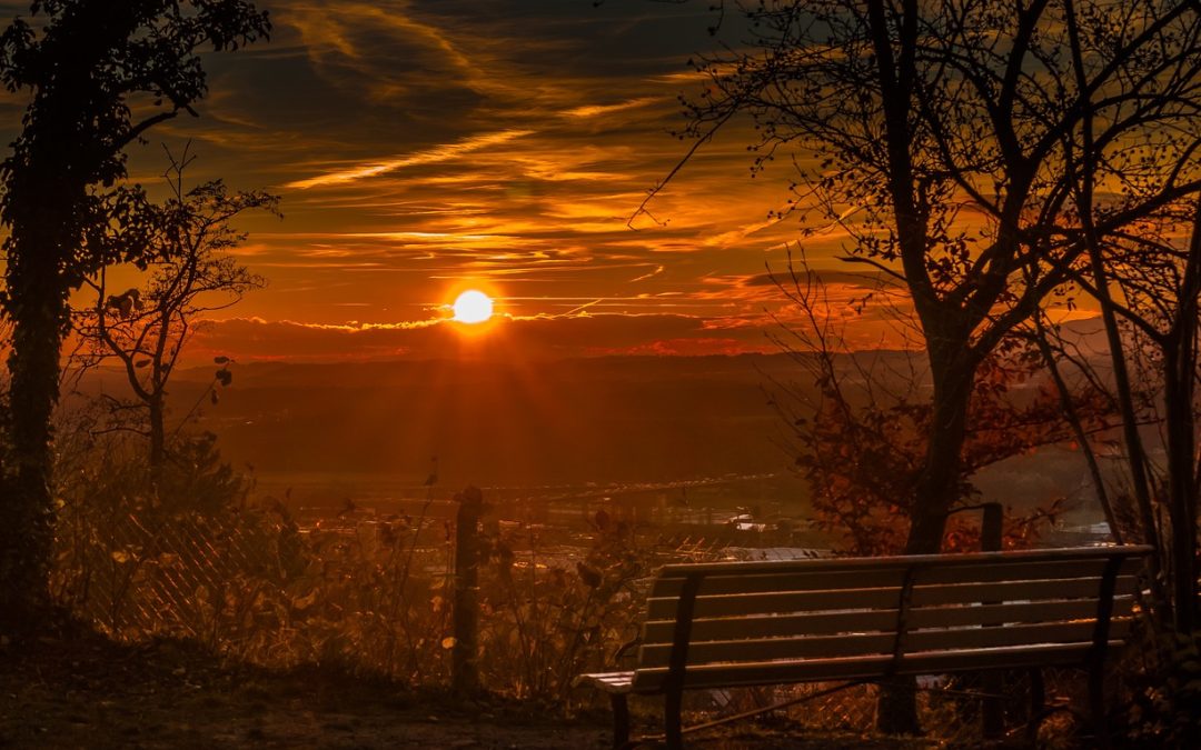 "Reconstructing Shredded Banknotes: Unleashing the Power of Computer Vision"