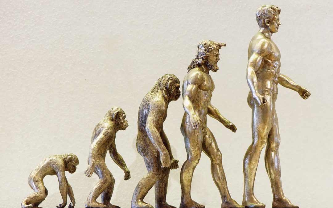 The Future of Cloud Deployment: Implications and Developments