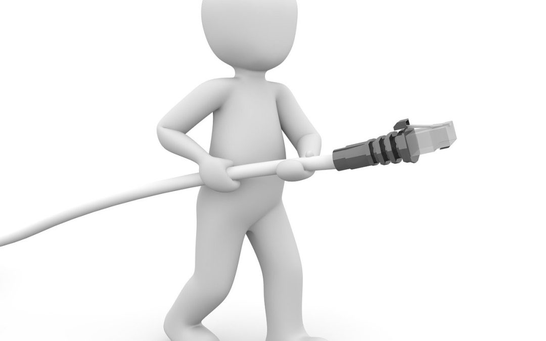 “Adapting the Common Model of Cognition for Generative Network Models in AI”