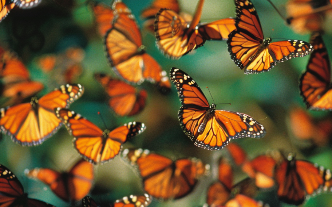 Revisiting Florida 2000 and the Butterfly Effect