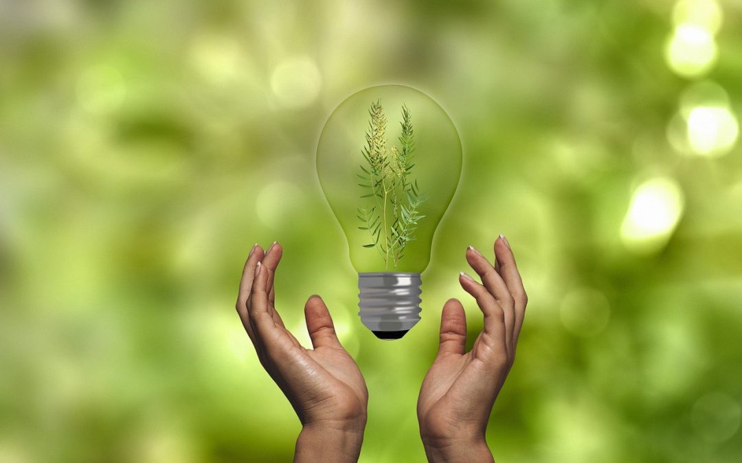 "The Benefits of Meditation for Mental Health"