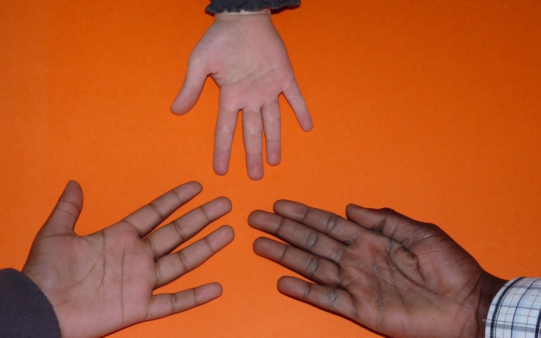 Trust AI Regulation? Discerning users are vital to build trust and effective AI regulation