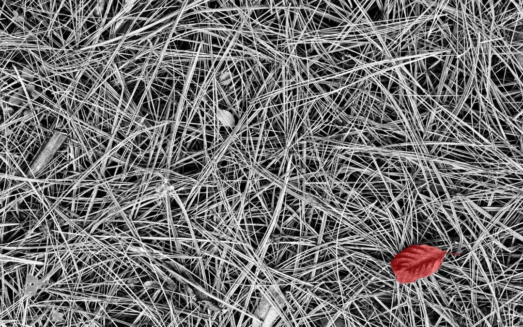 Unveiling the Enigmatic Singularities of Black Holes