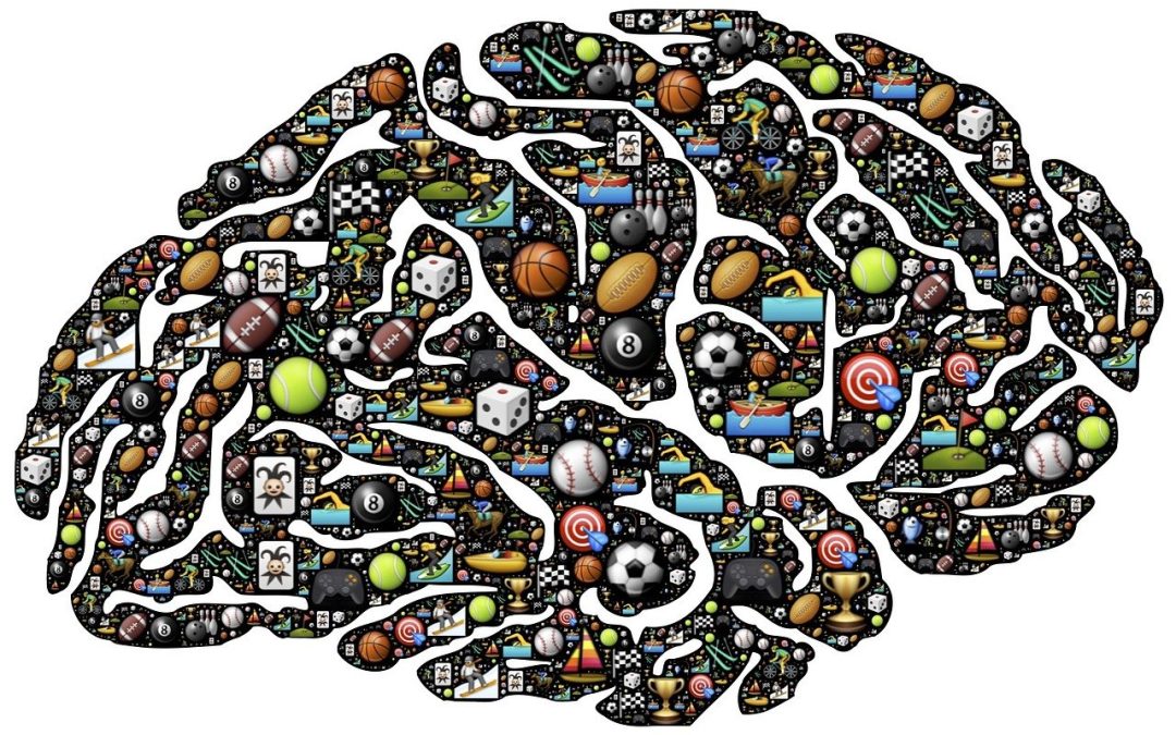 “Neural Mechanisms of Visual Quality Perception: Insights from fMRI Study”