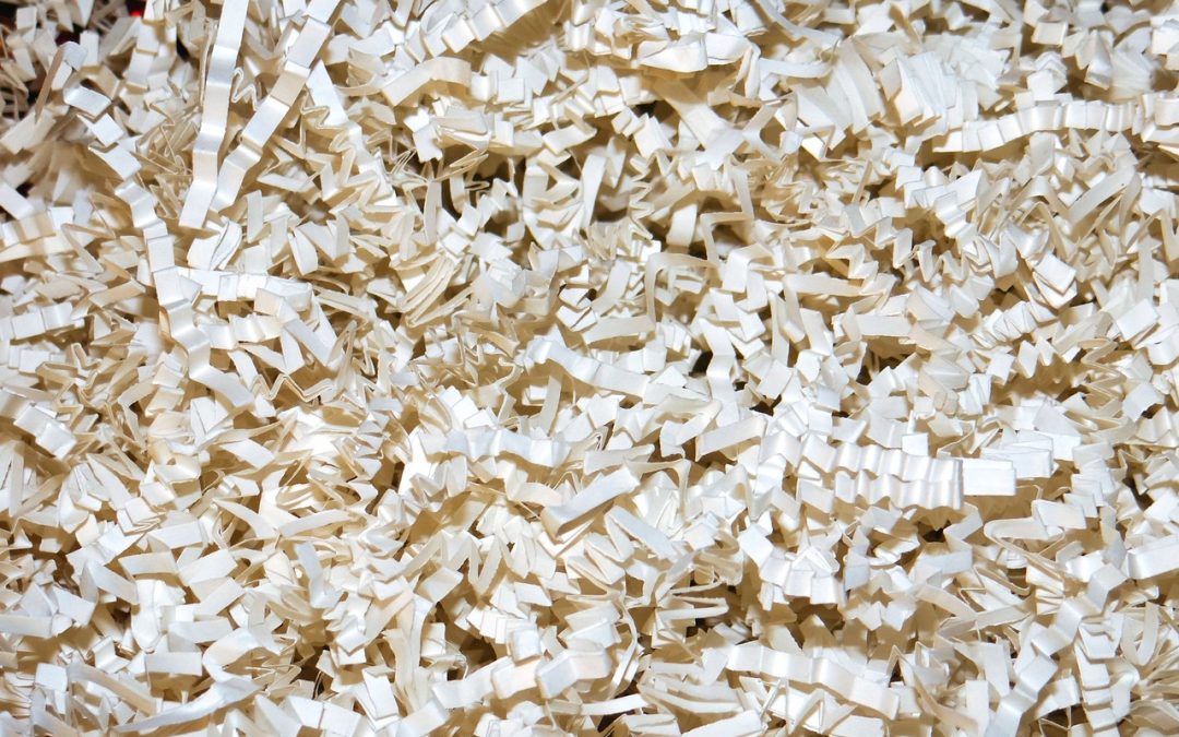 Networking Systems for Video Anomaly Detection: A Tutorial and Survey