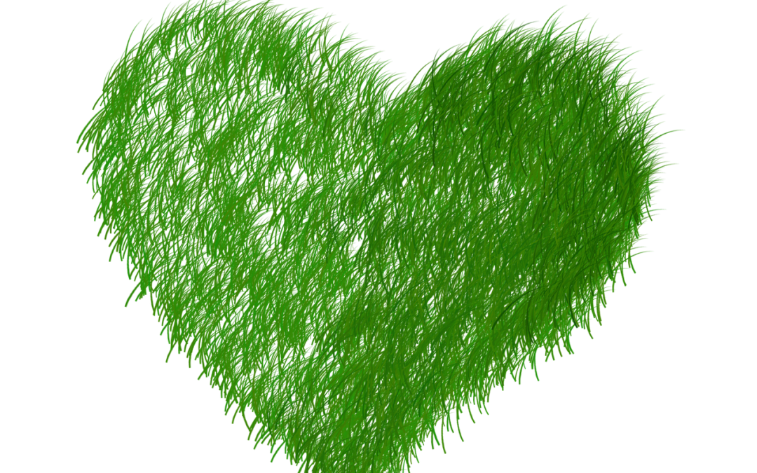 “Swiss Report Criticizes Provenance Research in Emil G. Bührle Collection”