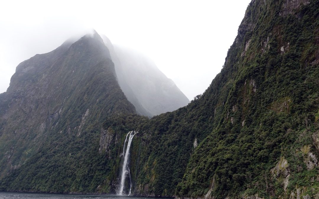 “Dynamic Fusion Framework for Fake News Detection”