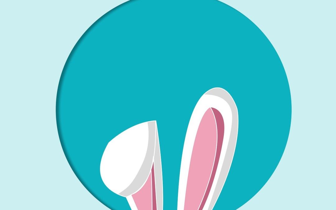 “Enhancing Video Streaming with User Digital Twins”