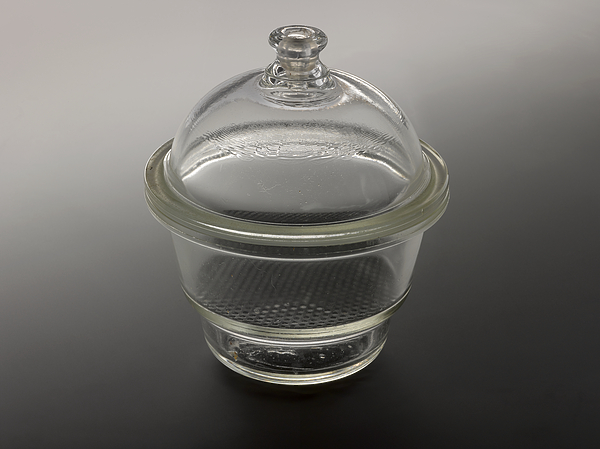 Happy Birthday Louise Brown!