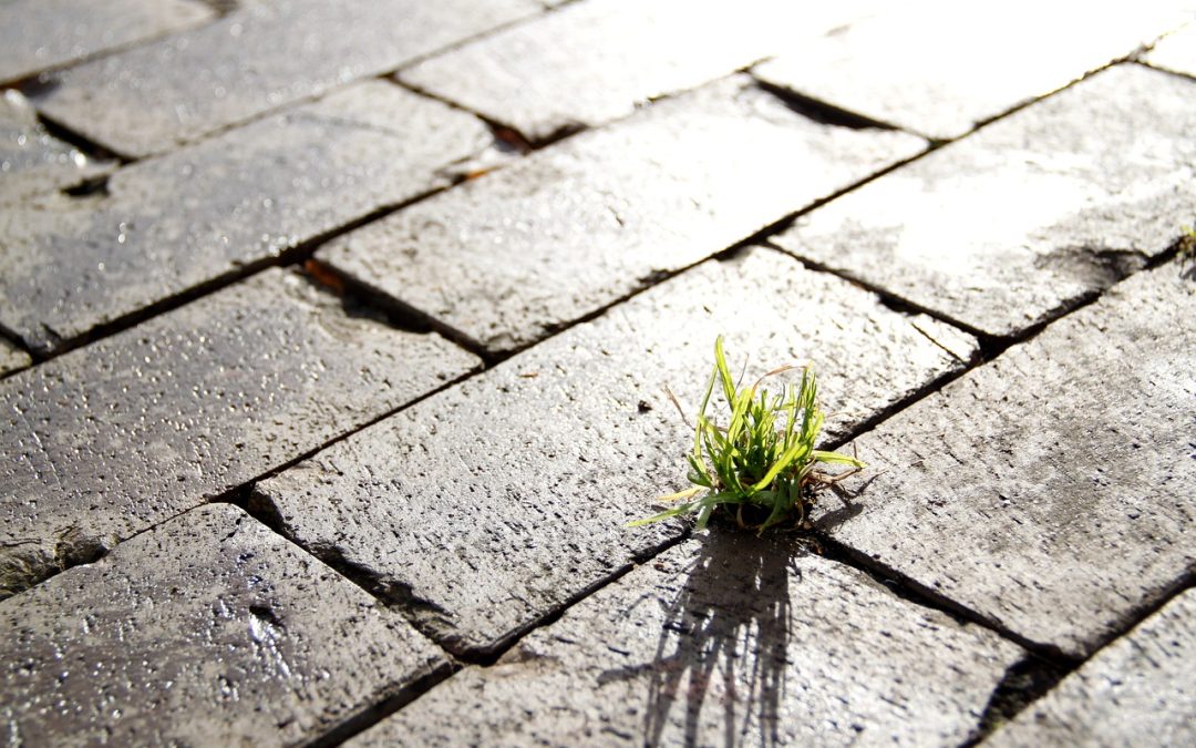 "The Benefits of Meditation for Mental Health"