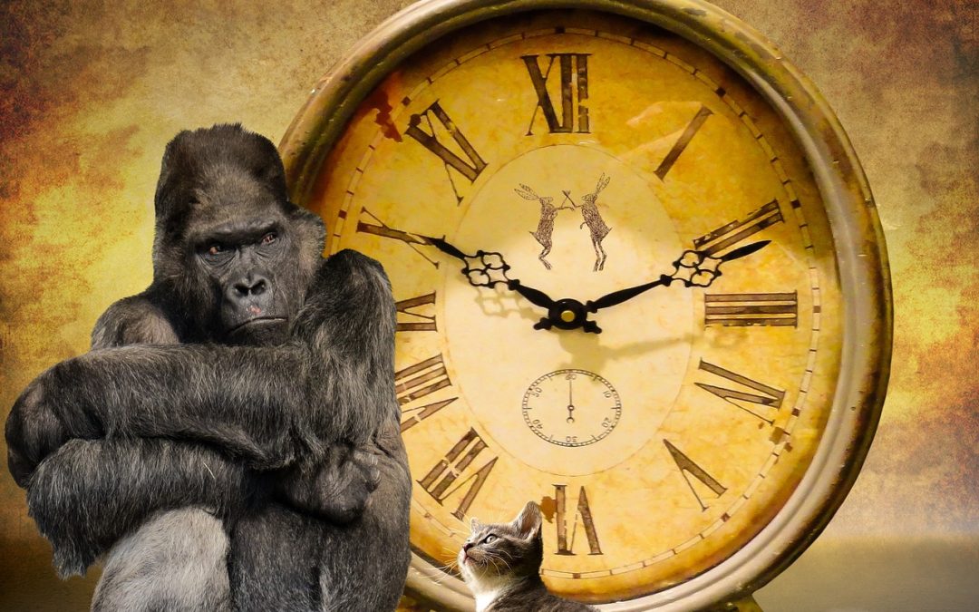 "The Benefits of Meditation for Mental Health"