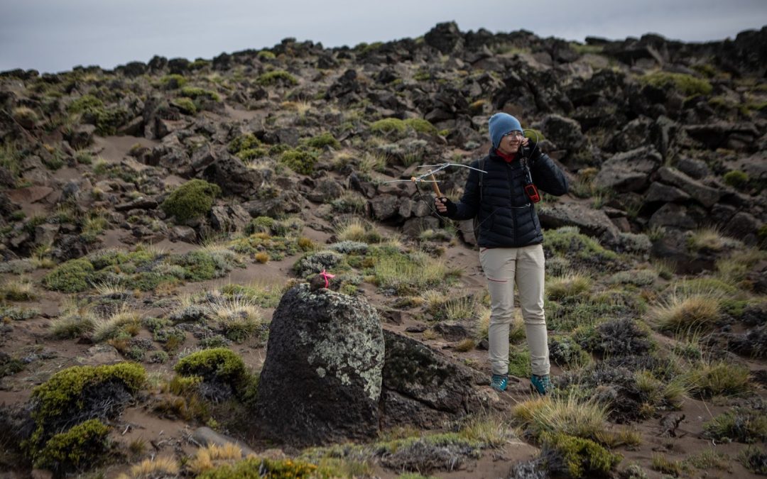 Fostering a Different Approach to Leadership: R-Ladies Bariloche in Argentina