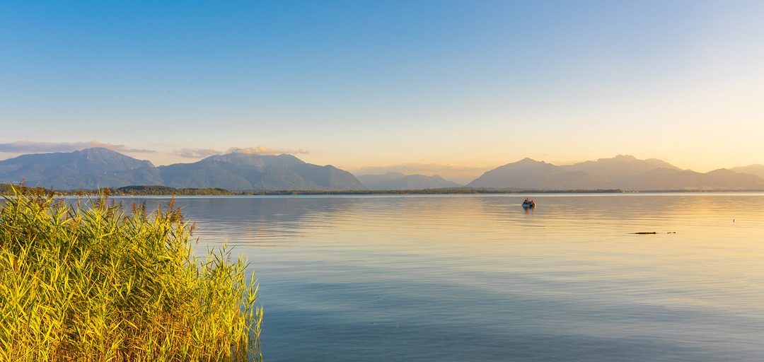 Ophthalmic Biomarker Detection with Parallel Prediction of Transformer and Convolutional Architecture