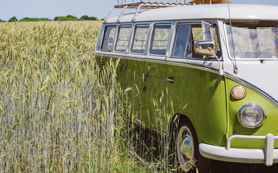 “Shiny Shield: Caravaggio’s Medusa”