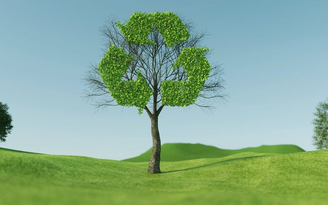 “Art Basel Paris: A New Name and Location for 2024”