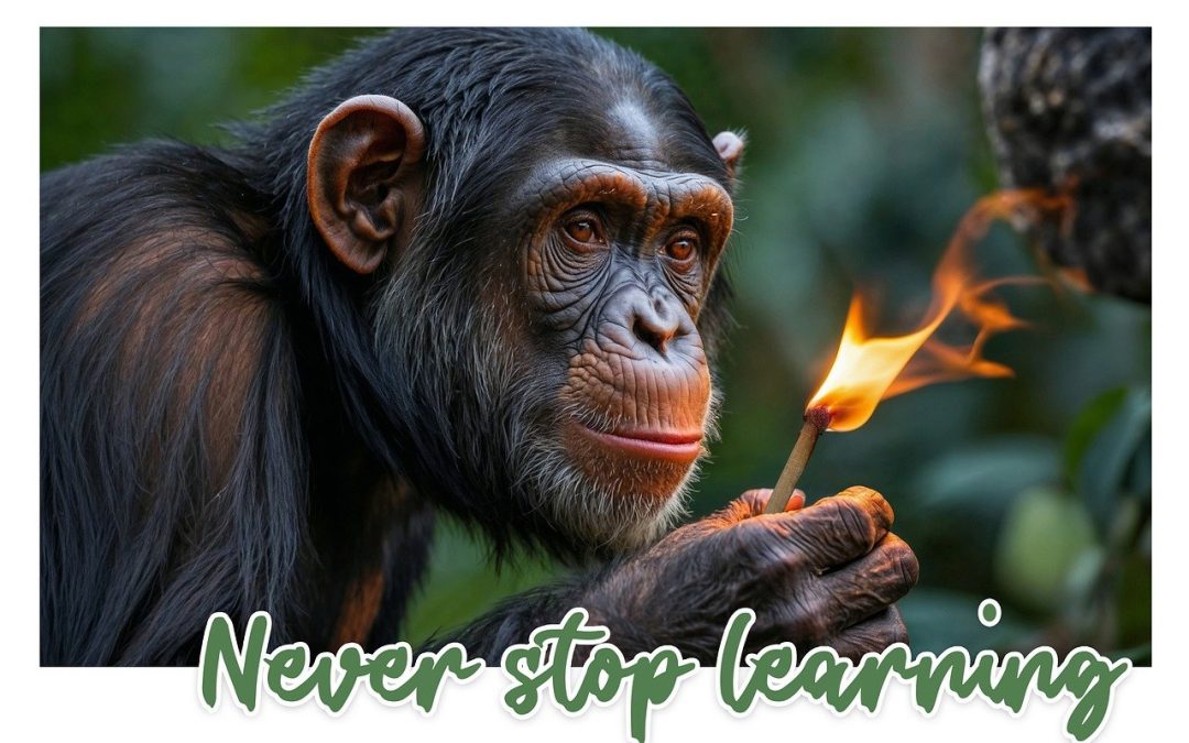 SSP-RACL: Classification of Noisy Fundus Images with Self-Supervised Pretraining and Robust Adaptive Credal Loss