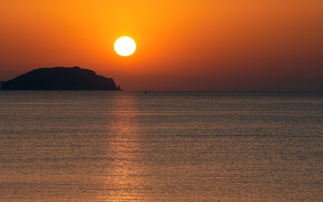 Unveiling the Enigmatic Singularities of Black Holes