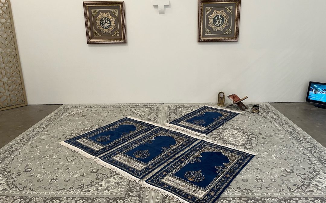 “Mahtab Hussain’s Solo Exhibition Wows Audiences This Spring”