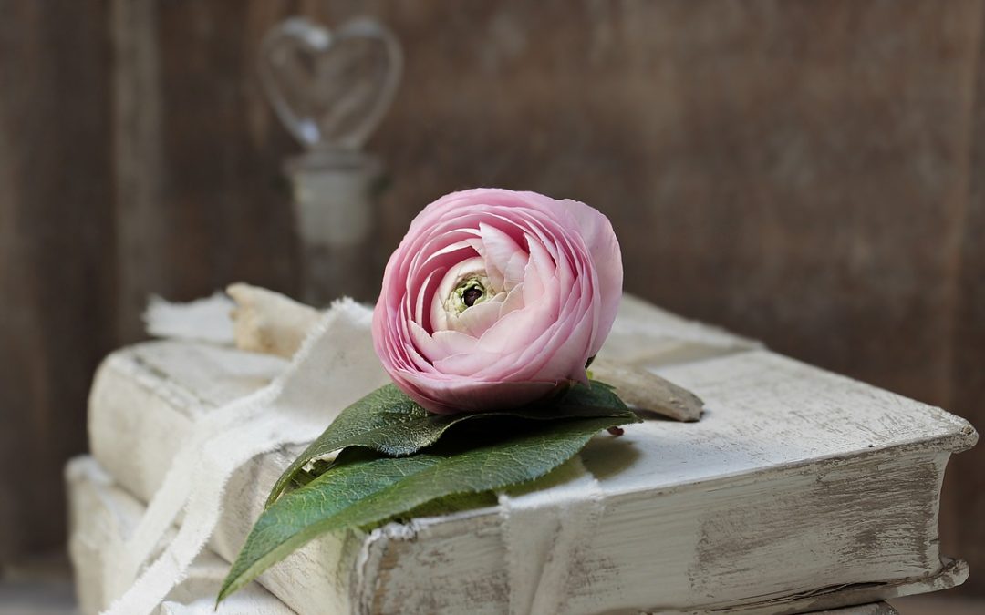 Title: “Introducing Chinese-LiPS: A Multimodal Dataset for Audio-Visual Speech